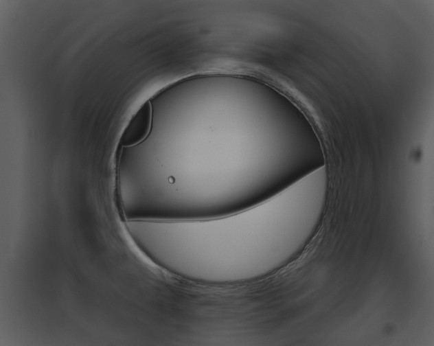 X0000095671479200801081027