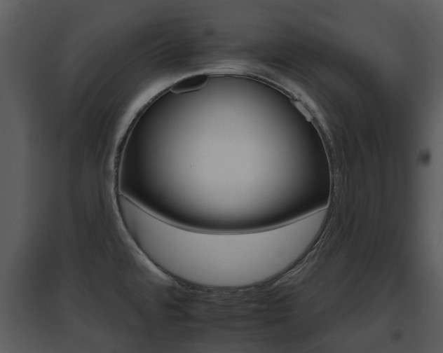 X0000095671480200801081027