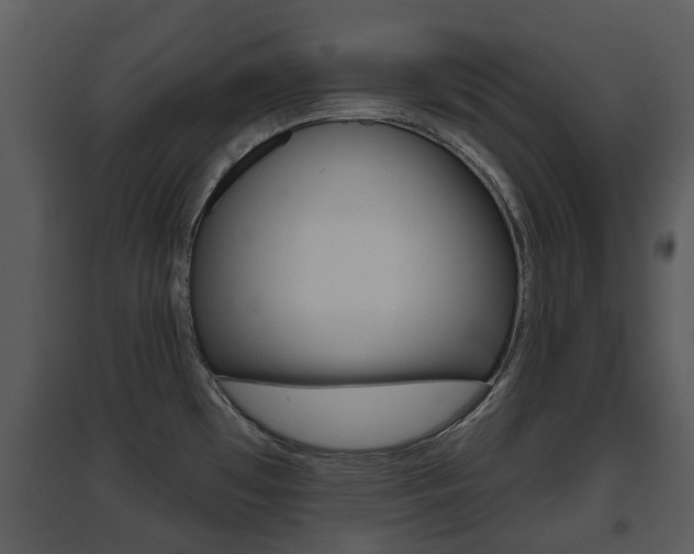 X0000095671481200801081027