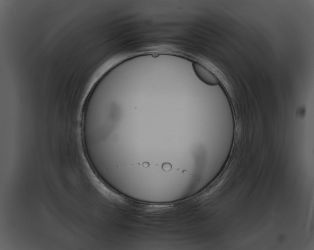 X0000095671482200801081027