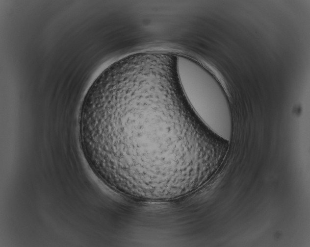 X0000095671483200801081027