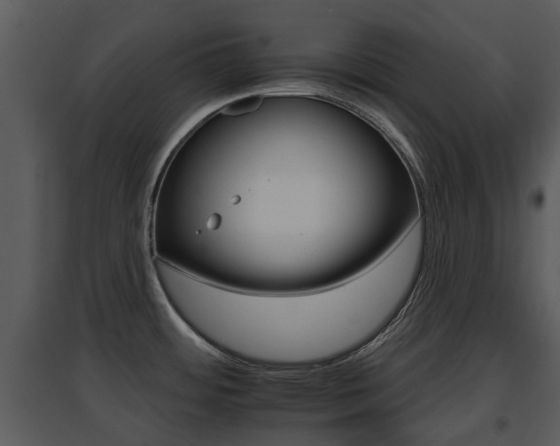 X0000095671484200801081027