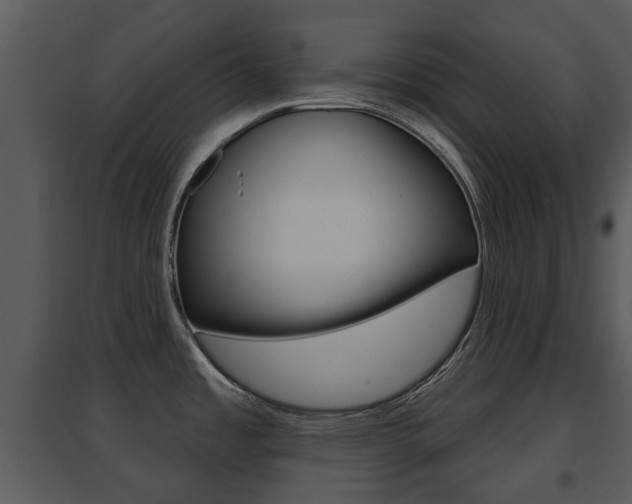 X0000095671485200801081027