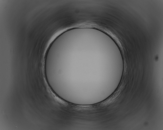 X0000095671486200801081027