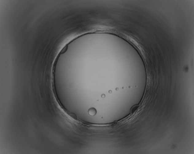 X0000095671487200801081027