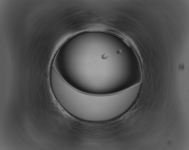 X0000095671488200801081027