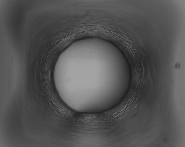 X0000095671489200801081026