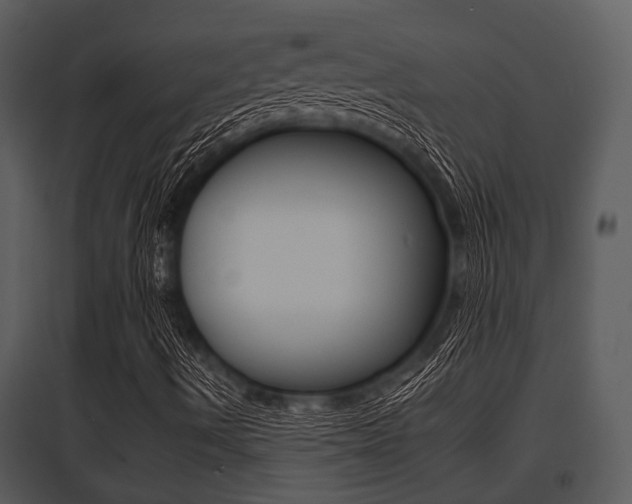 X0000095671490200801081026