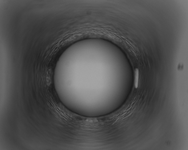 X0000095671491200801081026