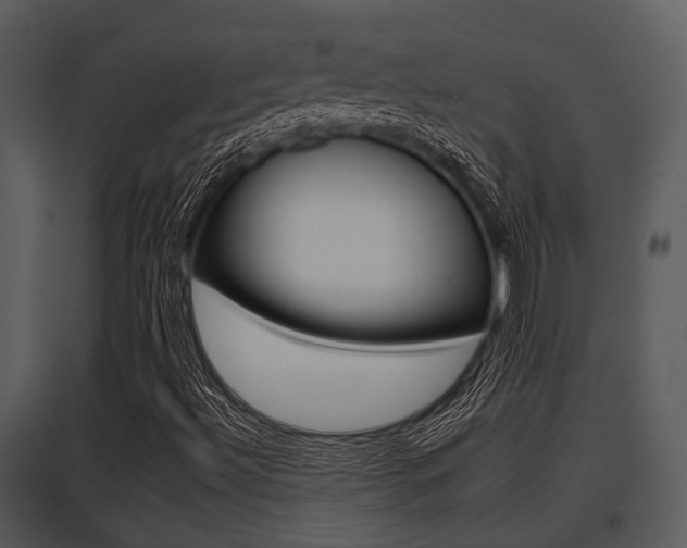 X0000095671492200801081026