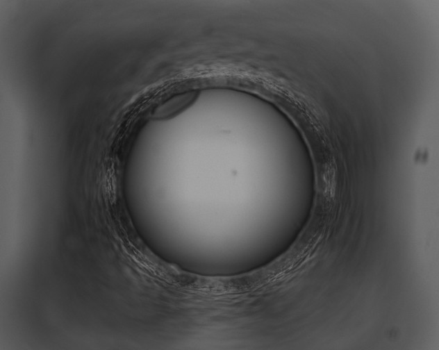 X0000095671493200801081026