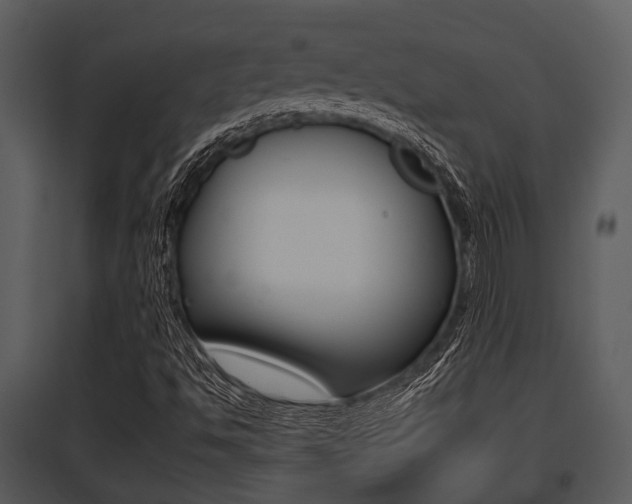 X0000095671494200801081026