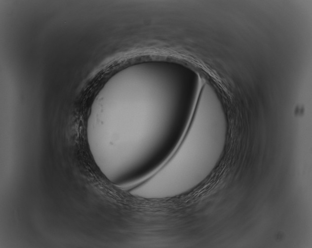 X0000095671495200801081026