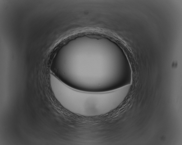 X0000095671496200801081026