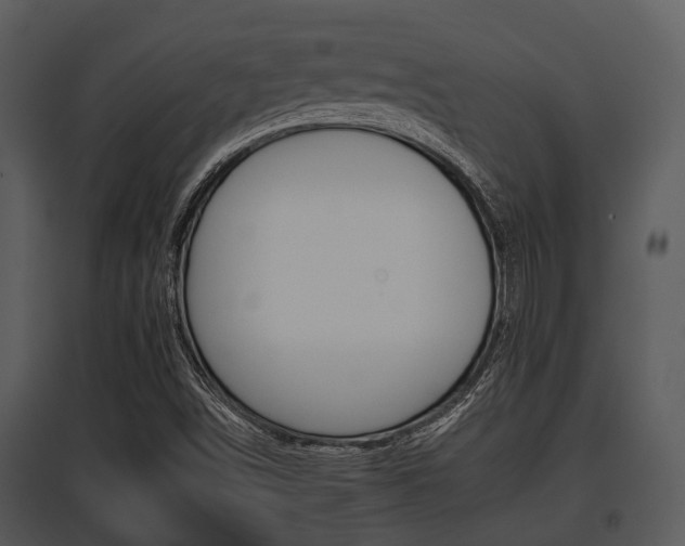 X0000095671498200801081026