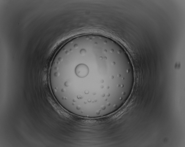 X0000095671499200801081026