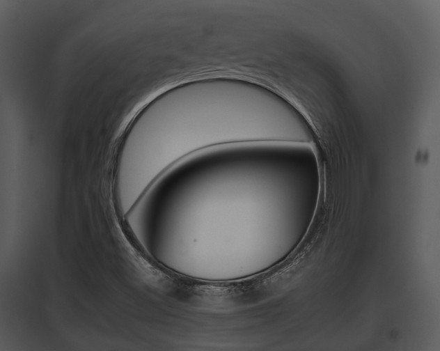 X0000095671500200801081026