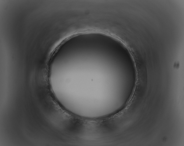X0000095671502200801081026