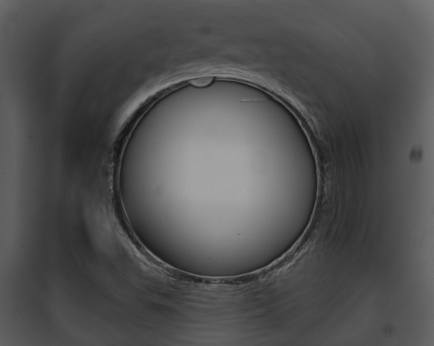 X0000095671503200801081027
