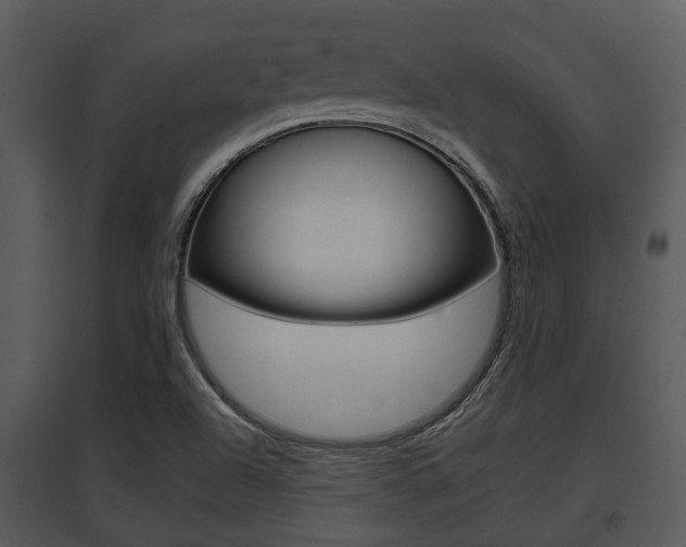 X0000095671504200801081027