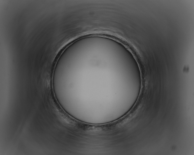 X0000095671505200801081027