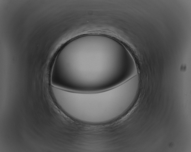 X0000095671506200801081027