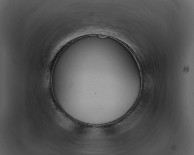 X0000095671507200801081027
