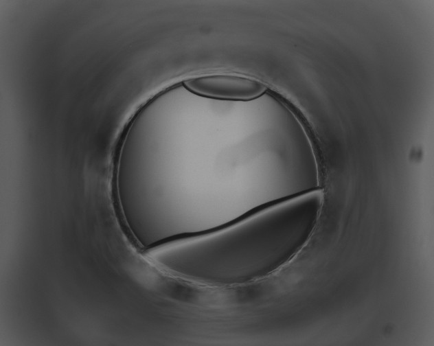 X0000095671508200801081027
