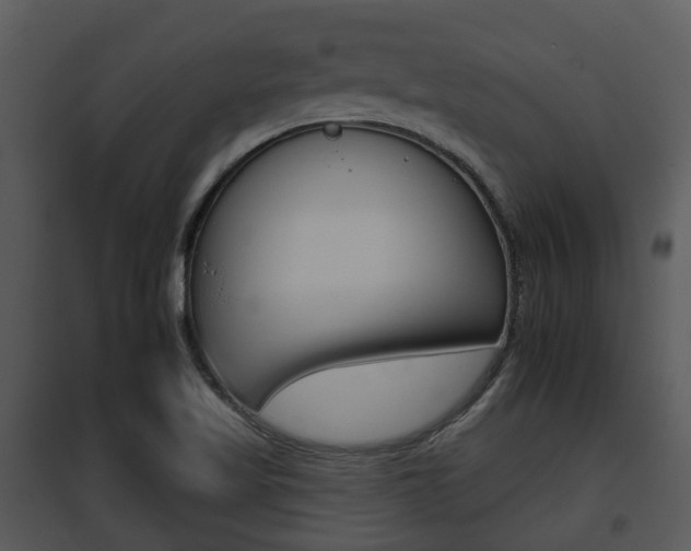 X0000095671509200801081027