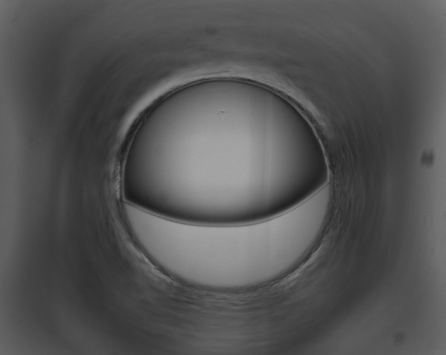 X0000095671510200801081027