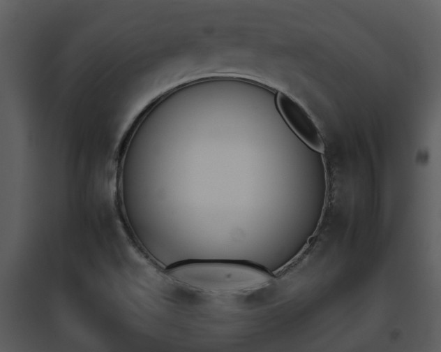 X0000095671511200801081027