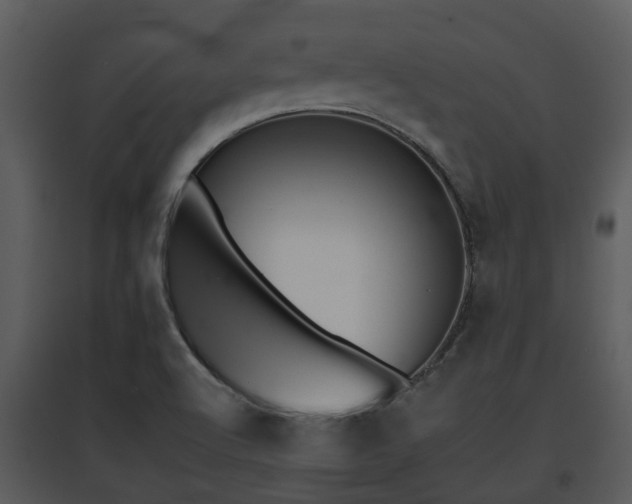 X0000095671512200801081027