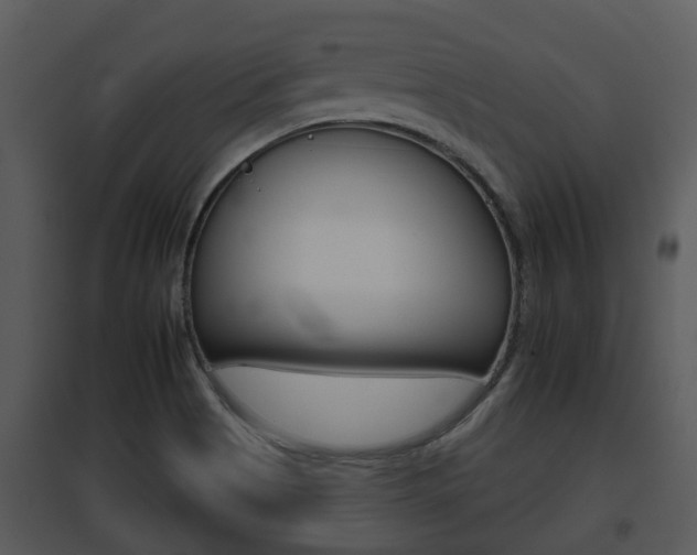 X0000095671513200801081027