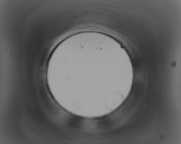 X0000095671514200801081027