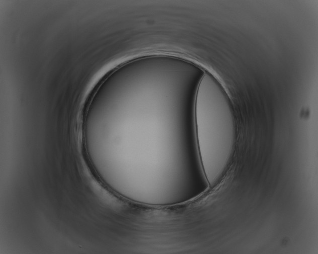 X0000095671515200801081027