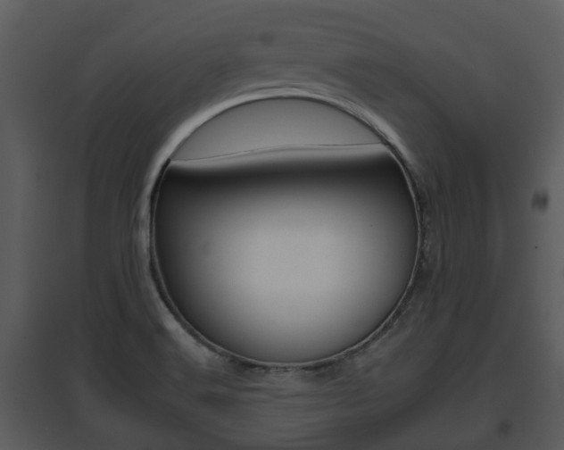 X0000095671516200801081027