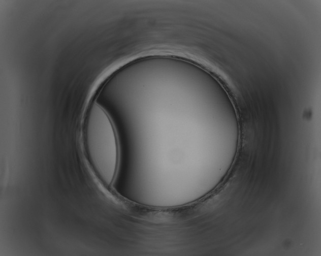 X0000095671517200801081027