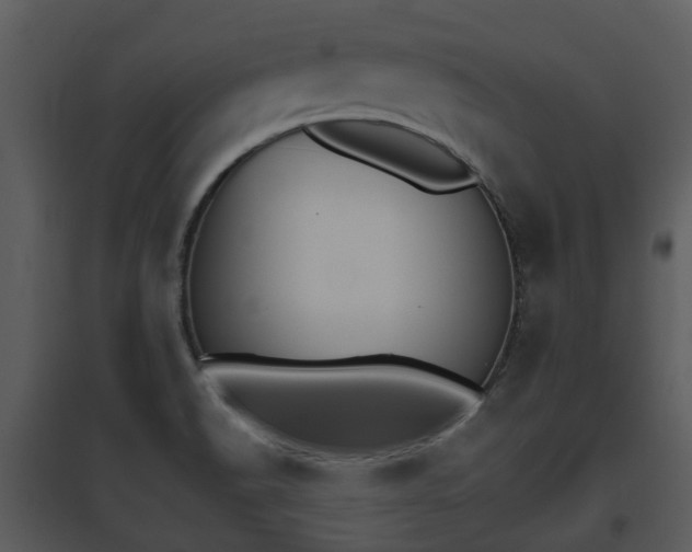 X0000095671518200801081027