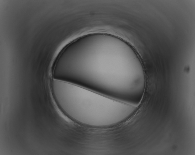 X0000095671519200801081027
