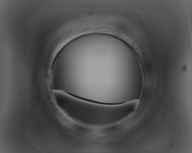 X0000095671520200801081027