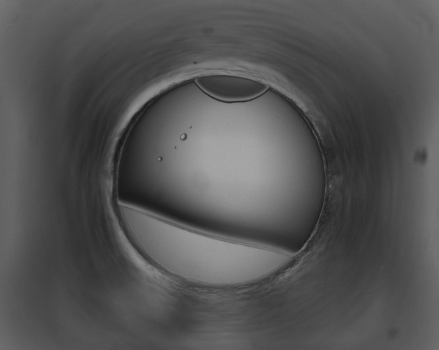 X0000095671523200801081027