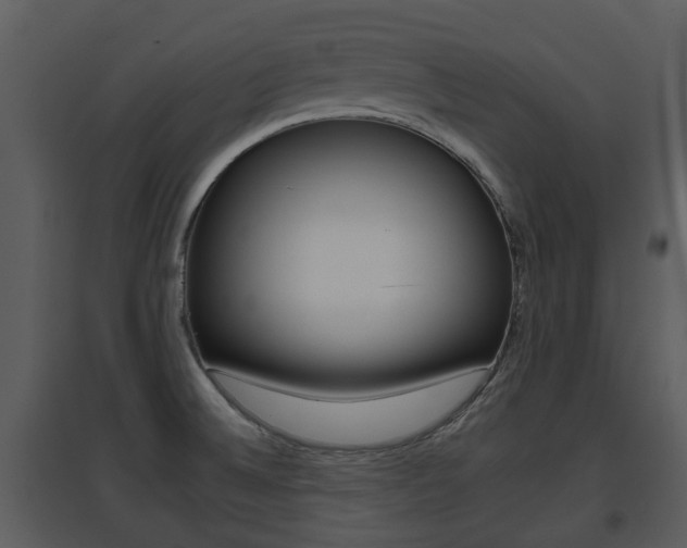 X0000095671524200801081027