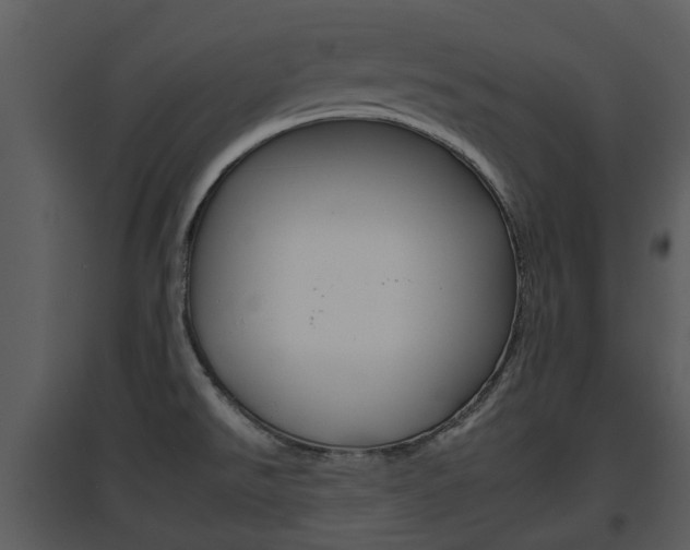 X0000095671526200801081027