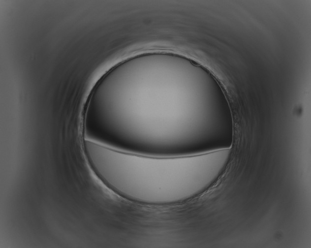 X0000095671527200801081027