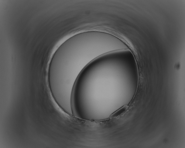 X0000095671528200801081027