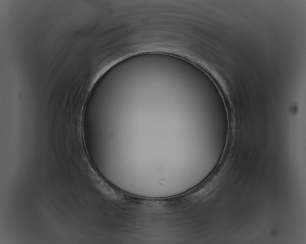 X0000095671529200801081027