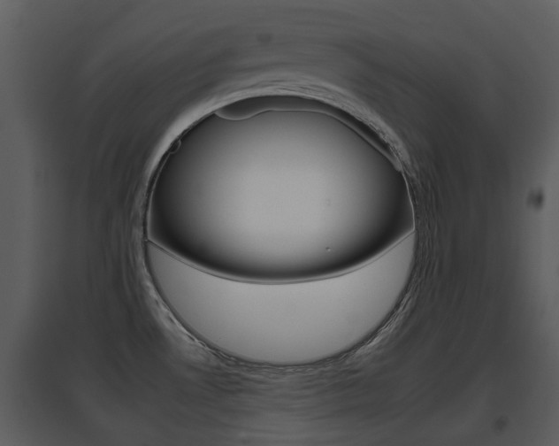 X0000095671530200801081027