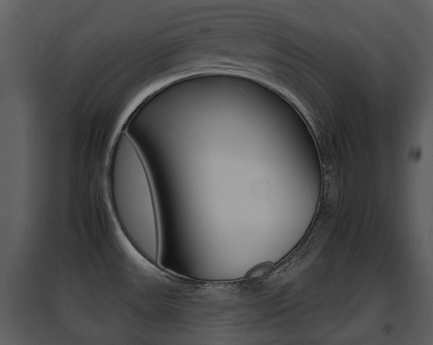 X0000095671531200801081027