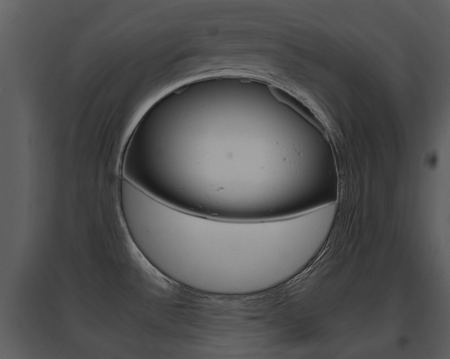 X0000095671532200801081027