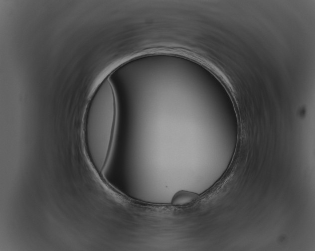 X0000095671533200801081027
